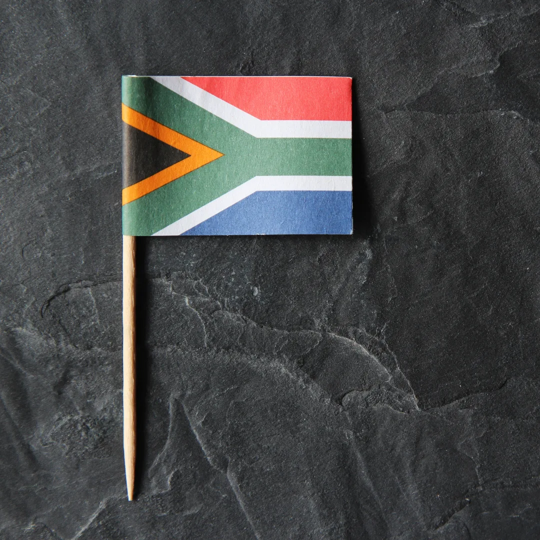 south african flag