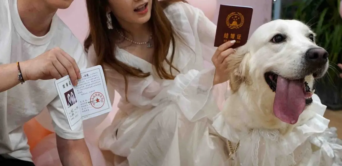 Puppy Love Hot Fm
